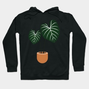 Philodendron gloriosum plant Hoodie